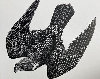 Faucon pèlerin - impression originale découpée en lino