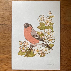 Bullfinch - Original Reduction Lino Cut Print