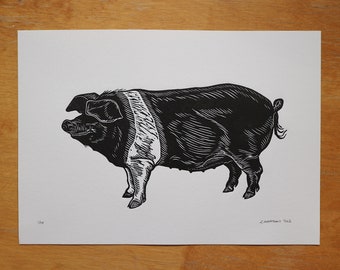 Saddleback Pig - Impression originale découpée en lino