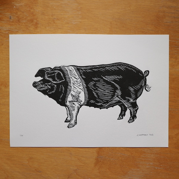 Saddleback Pig - Original lino cut print