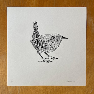 Wren - original lino cut print bird art