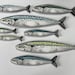 1 Small Mackerel, Fish Art, Fish Wall Decor Art Sculpture, Original Art ...