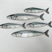 The Tiddler 1 Mackerel Fish Sculpture - Etsy UK