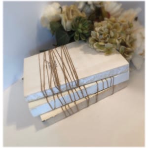 May include: A stack of four white books tied together with twine. The books are stacked on a white surface. The books are decorated with a white paint wash.