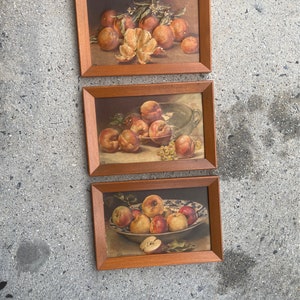 Cottage core art prints, framed, original hardware, Atlas Embossarts N.Y. Framed 3D Fruit Wall Decor Signed by artist