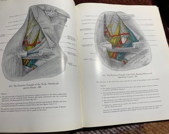 VINTAGE ANATOMY BOOK An Atlas of Anatomy by J.C. Boileau Grant 1951 3rd edition illustrated