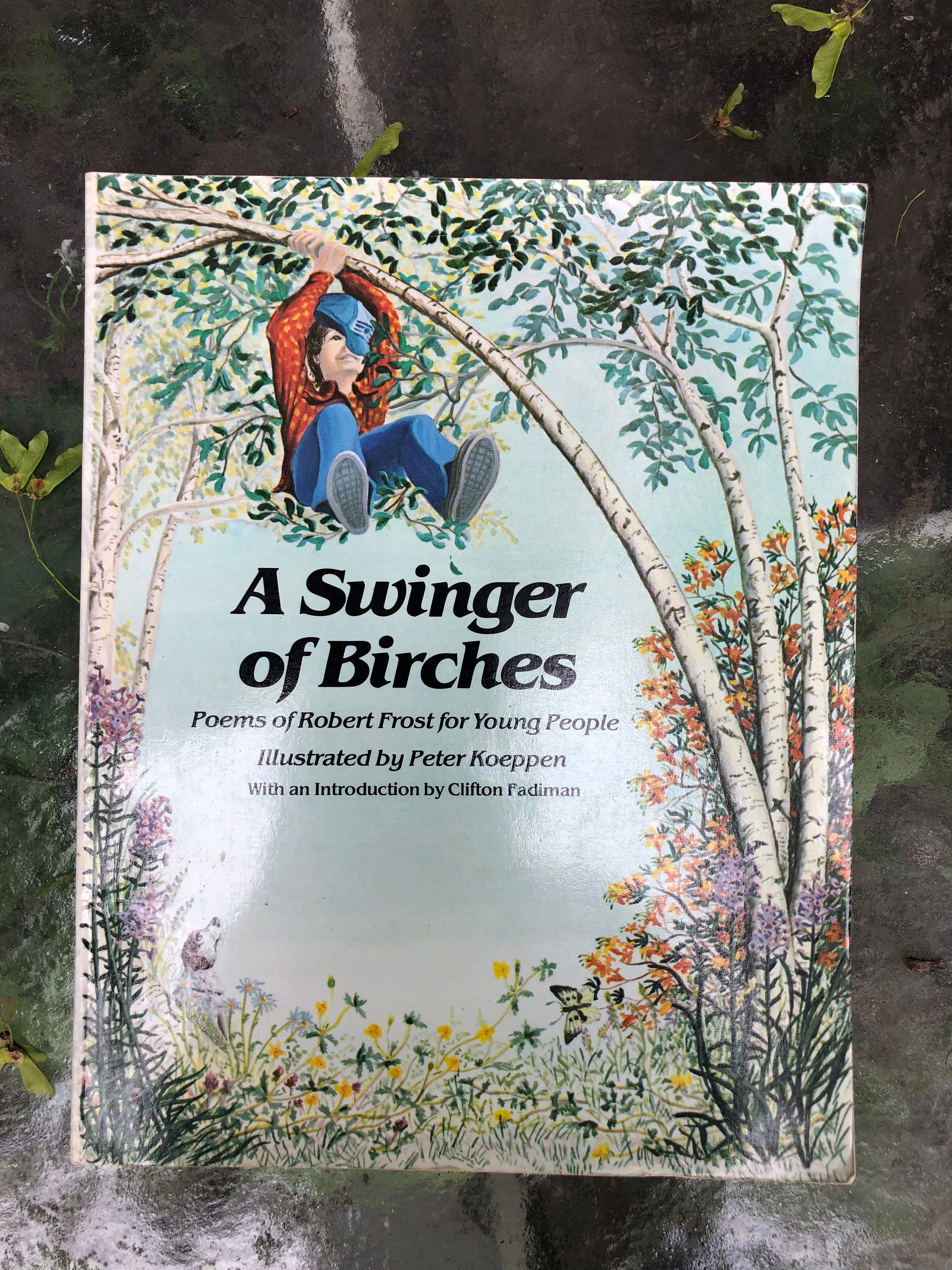 A Swinger of Birches Poems by Robert Frost for Young People