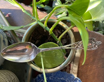 Beautiful vintage SIlver Spoon 1910 engraved "N"