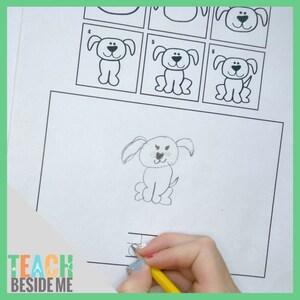 Draw and Write Animals