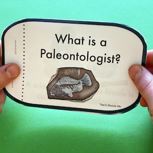 Può includere: Una scheda con il testo "What is a Paleontologist?" e un'illustrazione di un pesce fossilizzato. La scheda è tenuta da due mani su uno sfondo verde. Il testo "Teach Beside Me" è in basso.