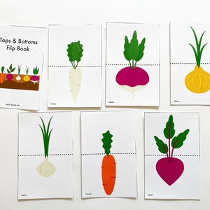 May include: A set of printable cards for a tops and bottoms flip book activity. The cards feature illustrations of different vegetables, including a turnip, radish, onion, garlic, carrot, and beet. Each card is divided in half with a dashed line, showing the top and bottom parts of the vegetable.