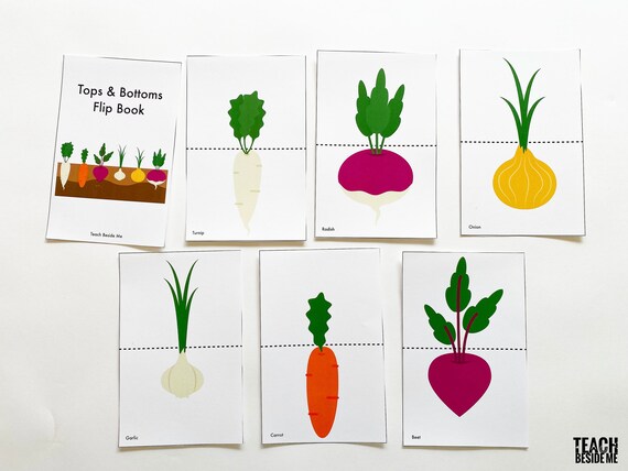 Tops And Bottoms Root Vegetable Flip Book Etsy