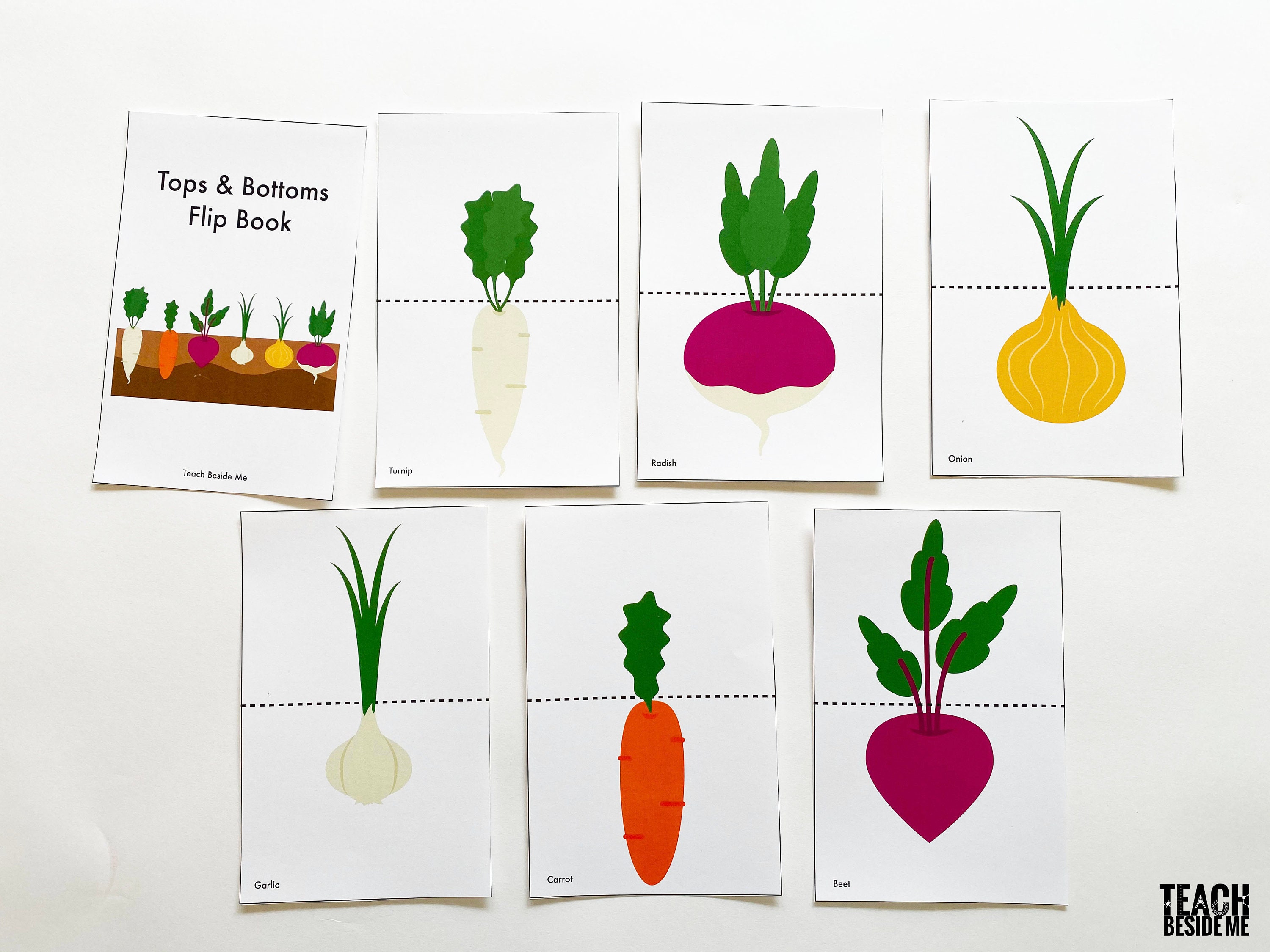Tops And Bottoms Root Vegetable Flip Book Etsy Australia