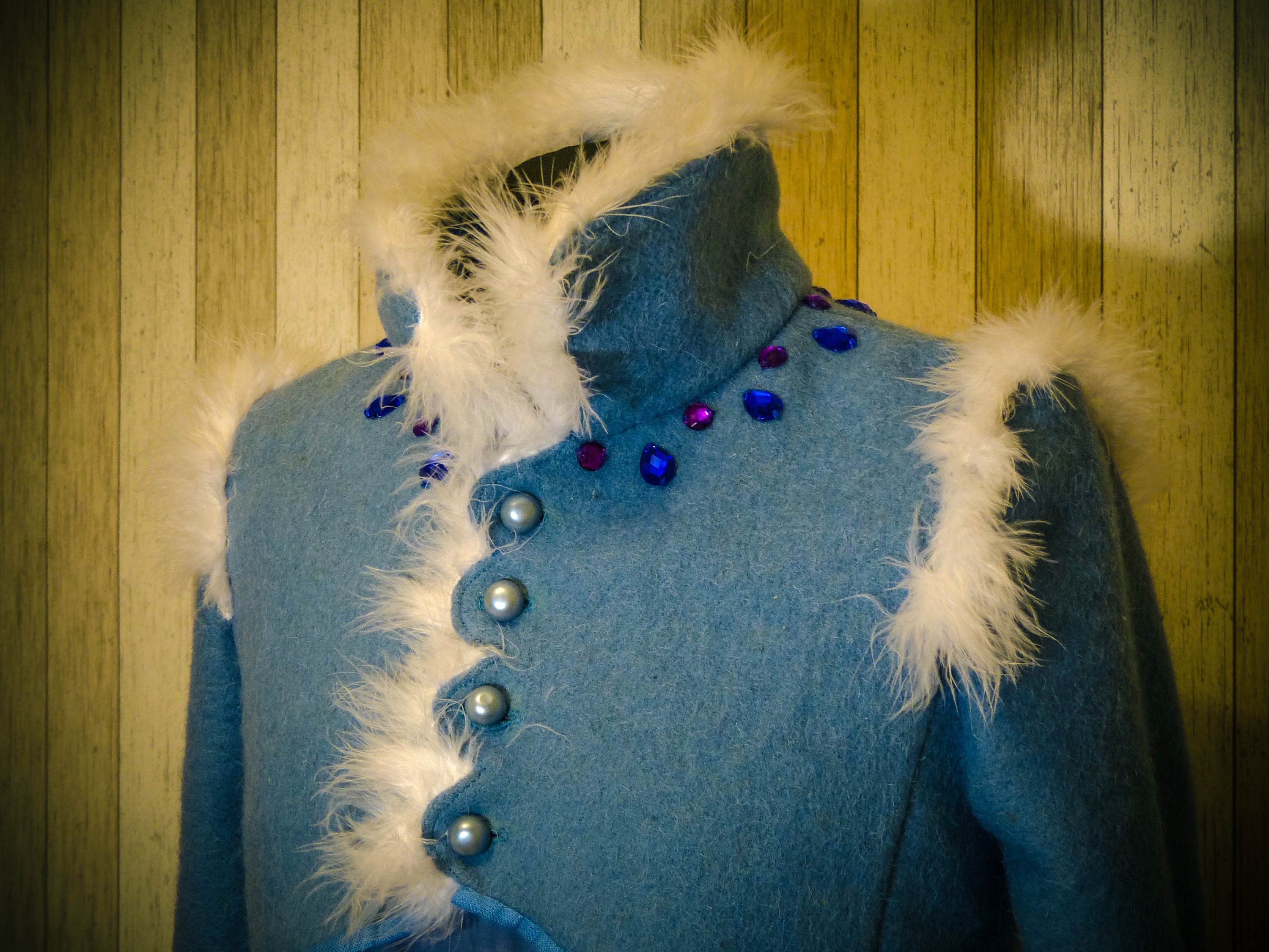 Anna Costume Anna Frozen Cosplay 