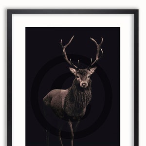 May include: A red deer stag with large antlers stands in a dark forest setting. The deer is facing the camera with its head held high. The background is a dark, blurry forest.