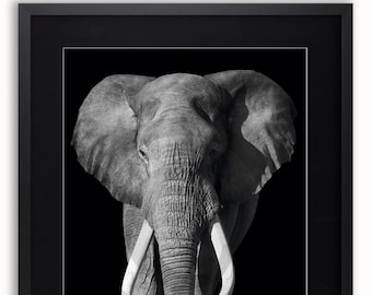 Elephant Poster: Black and White Animal Print, Wall Art (36 x 24 Inches)