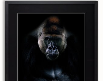 Amazing Gorilla Poster, Various Formats (36 x 24 Inches)