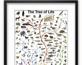 The Tree of Life - Poster