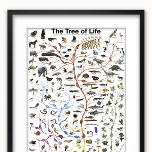 Könnte beinhalten: Ein gerahmter Druck mit dem Titel "The Tree of Life" in einem schwarzen Rahmen. Der Druck zeigt eine detaillierte Illustration der Evolution des Lebens, mit verschiedenen Tieren, Pflanzen und Organismen, die sich von einer zentralen baumartigen Struktur aus verzweigen. Der Text "Origin of Life" befindet sich unten.
