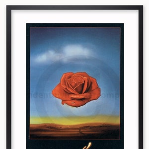 Salvador Dalí - Meditativo Rosa - Cartel de Arte Con Licencia