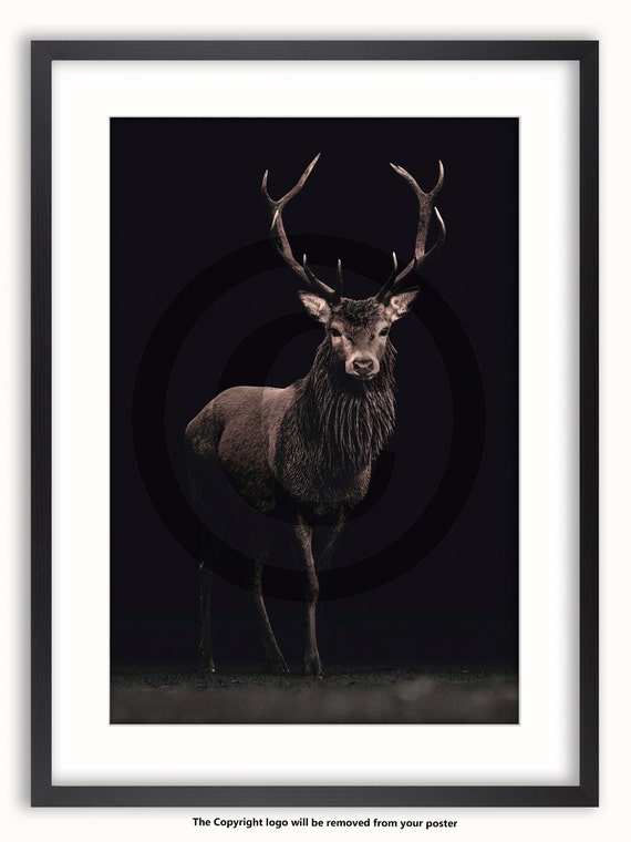Awesome Majestic Stag Poster Print Size A4 Wild Animal Poster Gift #14361 A4