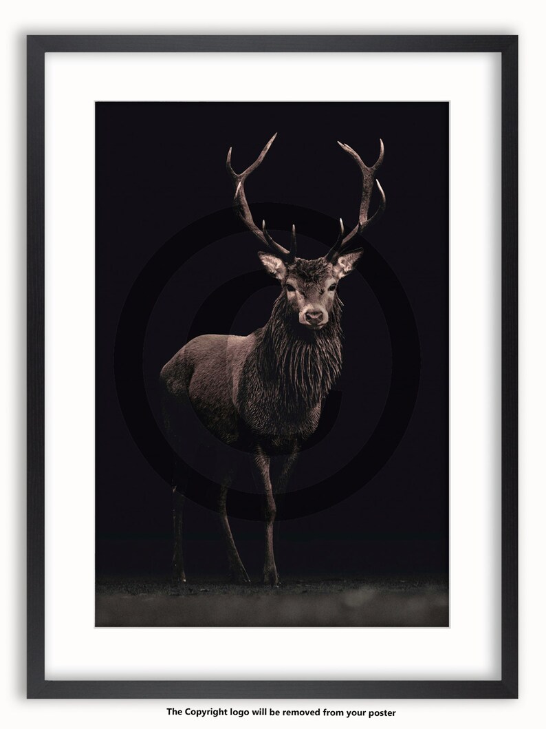 May include: A red deer stag with large antlers stands in a dark forest setting. The deer is facing the camera with its head held high. The background is a dark, blurry forest.