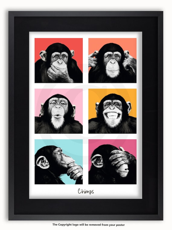 Chimps 6 Pics Vertical Pop Art Poster - Etsy