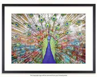Colorful Peacock Art Poster