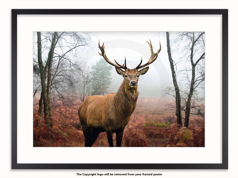 May include: Framed print featuring a majestic stag with large antlers standing in a misty forest. The artwork showcases the animal in a natural setting with brown and red foliage and bare trees, creating a serene woodland scene.