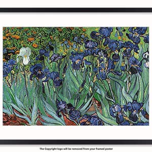 Vincent Van Gogh - Irises - Art Poster