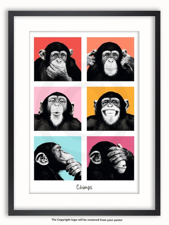 Chimps 6 Pics Vertical Pop Art Poster - Etsy
