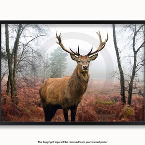 May include: Framed print featuring a majestic stag with large antlers, set in a misty forest. The deer has brown fur and stands amidst trees and reddish-brown foliage. The artwork is enclosed in a black frame.