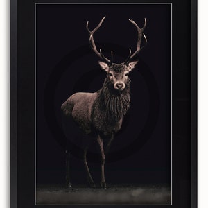 May include: A red deer stag with large antlers stands in a dark forest setting. The deer is facing the camera with its head held high. The background is a dark, blurry forest.