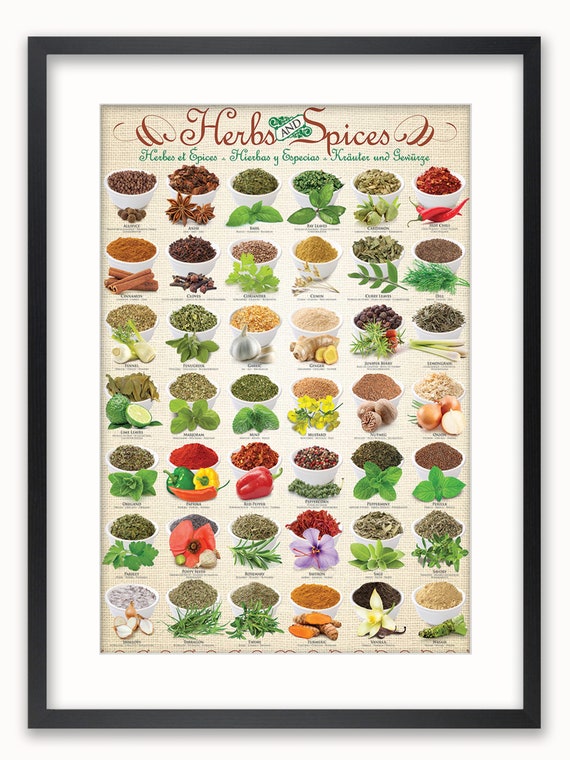 Herbs & Spices - Poster - Etsy Herbs & Spices - Poster - Etsy