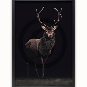 May include: A black and white photo of a red deer stag with large antlers standing in a dark forest. The deer is in focus, while the background is blurred.