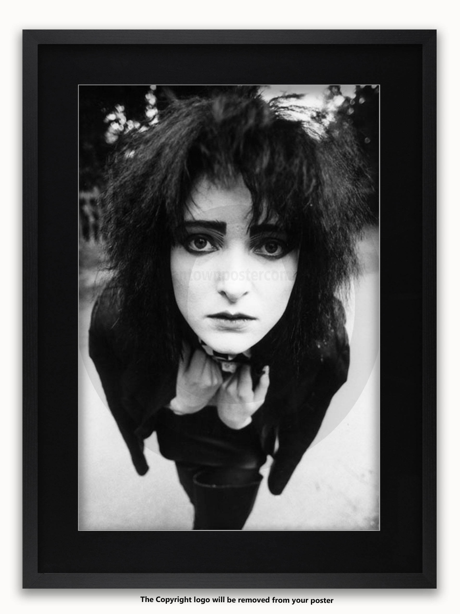 Siouxsie - Holland Park - London 5th June 1981 - Poster - Etsy