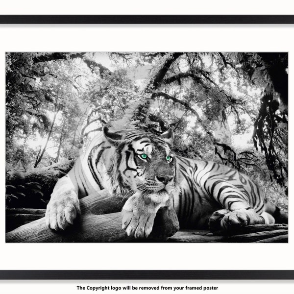 Tiger With Green Eyes Art Poster