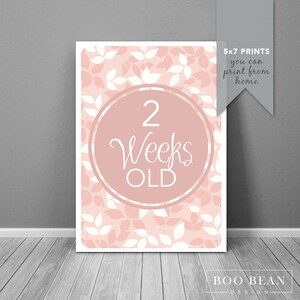 Nature Baby Milestone Card Girls | Instant Download | Printable Card | Milestone Photo Prop | Baby Age Sign | Month Prop |  Month Sign