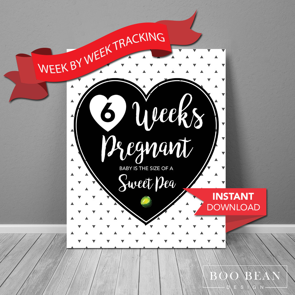 Pregnancy Week by Week Instant Download Printable Card - Etsy