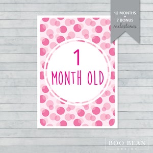 Carte d'étape de bébé de filles roses | Téléchargement instantané | Carte imprimable | Accessoire photo jalon | Signe d'âge de bébé | Prop mois | Signe du mois