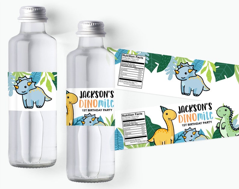 Cartoon Dinosaur Water Bottle Labels Dinosaur Labels Boys Etsy Australia