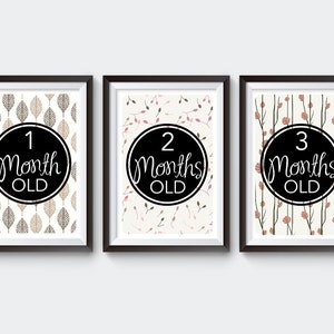 Nature Baby Milestone Card | Instant Download | Printable Card | Milestone Photo Prop | Baby Age Sign | Month Prop |  Month Sign