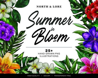 Summer In Bloom | Tropical Clipart | 25+ Hand-Drawn PNGs