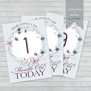 Carte d'étape de bébé d'aquarelle | Téléchargement instantané | Carte imprimable | Accessoire photo jalon | Signe d'âge de bébé | Prop mois | Signe du mois