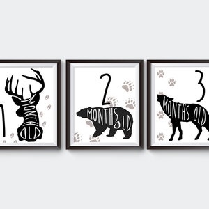 Carte d'étape marquante de bébé sauvage de Zazzle.be Liste d'envies Vous avez des idées ? Téléchargement instantané | Carte imprimable | Accessoire photo jalon | Signe de l'âge du bébé | Accessoire du mois | Signe du mois