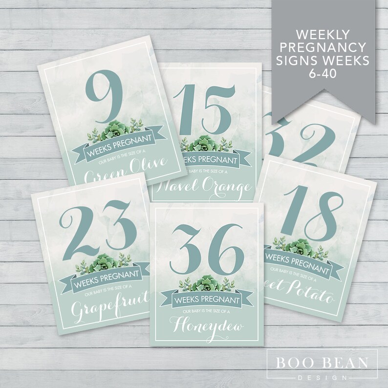 Pregnancy Week by Week Instant Download Printable Card - Etsy
