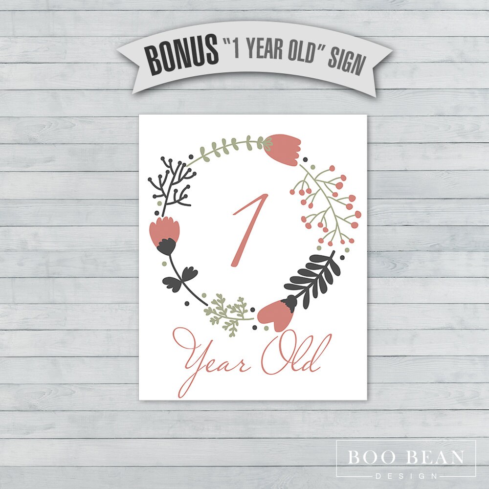 Floral Baby Month Signs Instant Download Printable Sign | Etsy