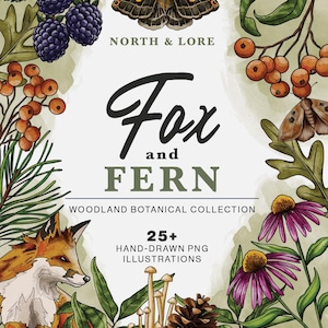 May include: A digital graphic featuring the text North & Lore Fox and Fern Woodland Botanical Collection 25+ Hand-Drawn PNG Illustrations. The design is framed by illustrations of blackberries, a moth, orange berries, a fox, mushrooms, and flowers.