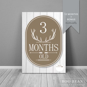 Antler Boys Baby Milestone Card Bleu | Téléchargement instantané | Carte imprimable | Accessoire photo jalon | Signe d'âge de bébé | Prop mois | Signe du mois
