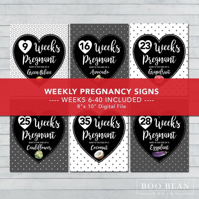 Pregnancy Week by Week Instant Download Printable Card - Etsy